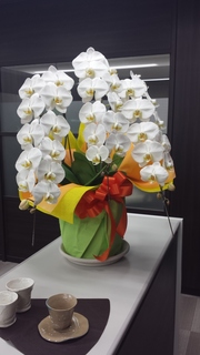20150129_200640.jpg